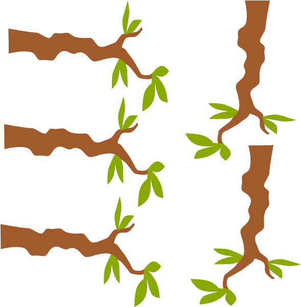 Tree Branches Sprouting Leaves Illustration PNG image