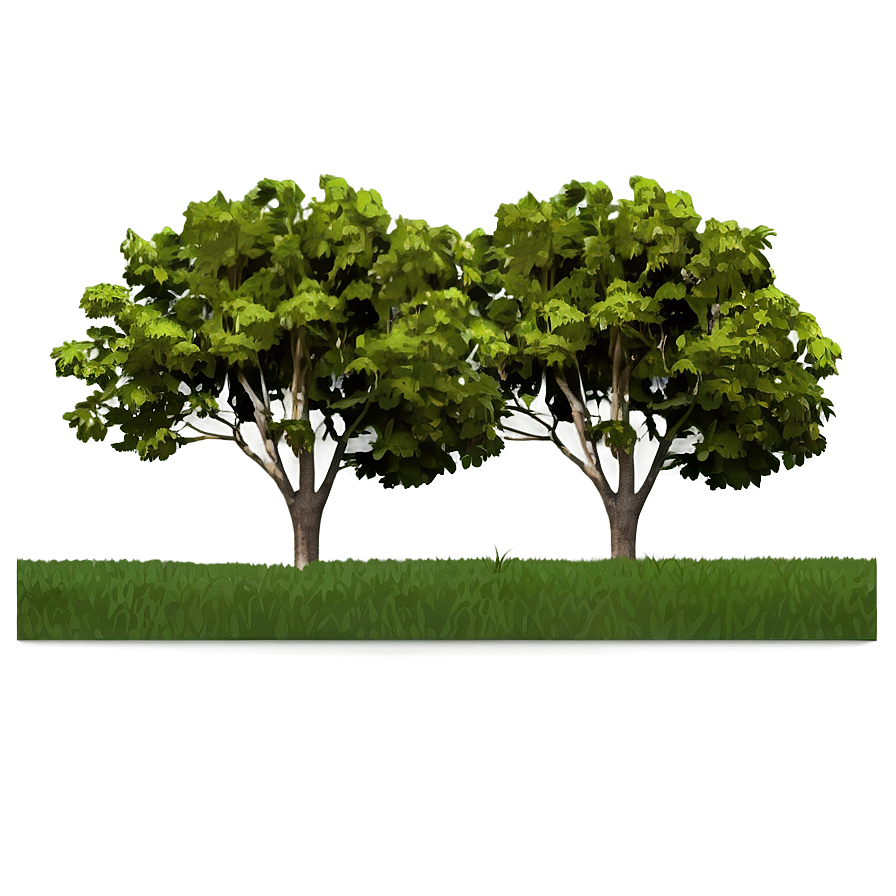 Tree Line Horizon Graphic Png 06292024 PNG image