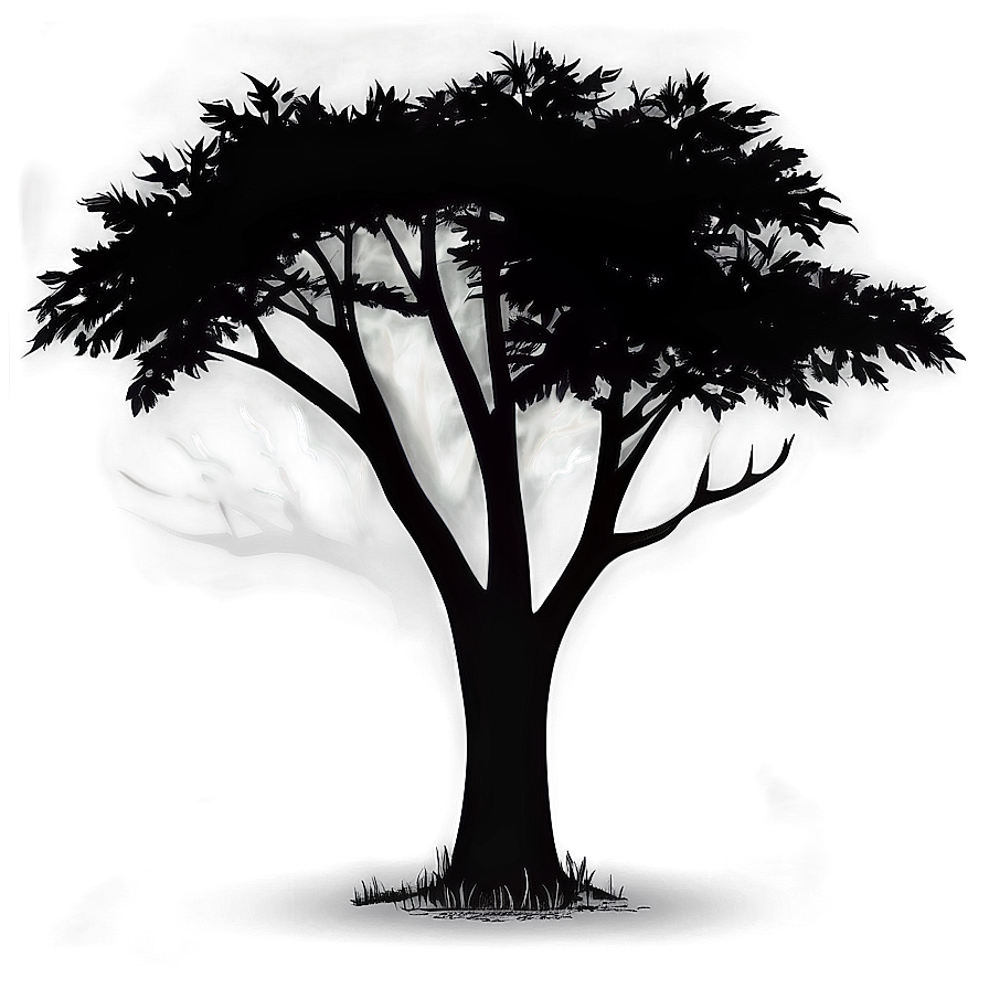 Tree Silhouette Black And White Png 06282024 PNG image