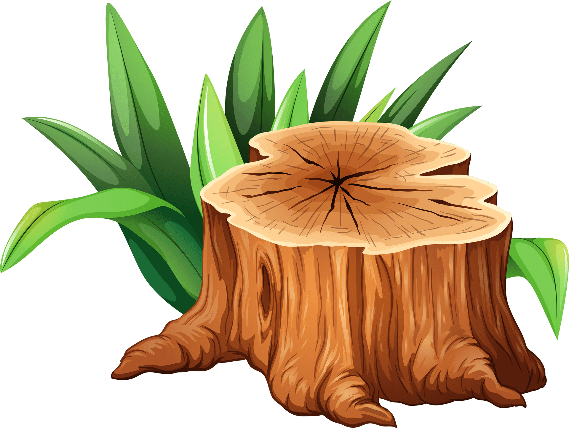 Tree Stump Illustration PNG image