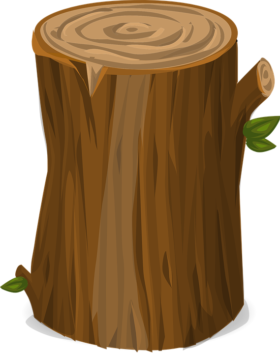 Tree Stump Illustration PNG image