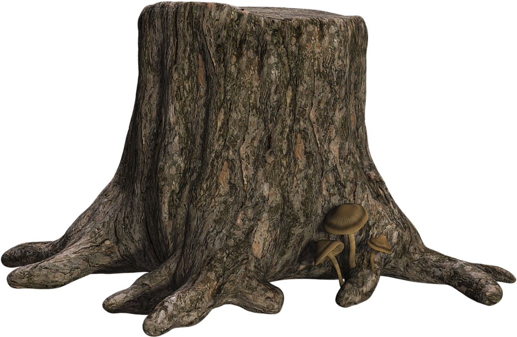 Tree Stumpwith Mushrooms PNG image