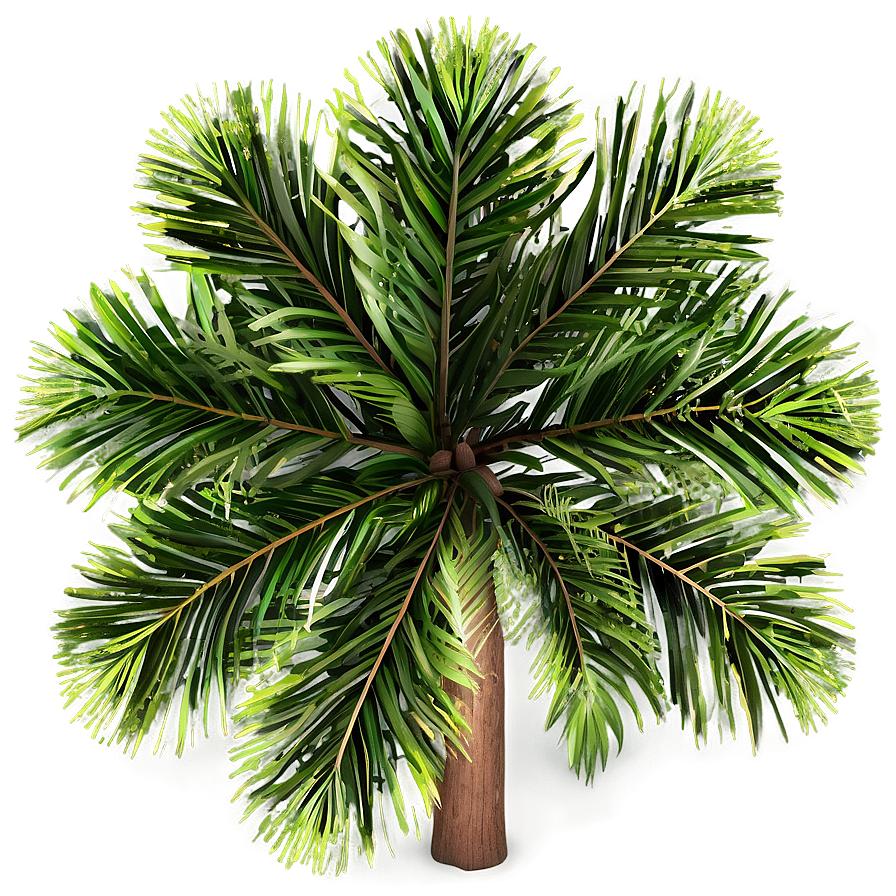 Tree Top View Clipart Png 06122024 PNG image