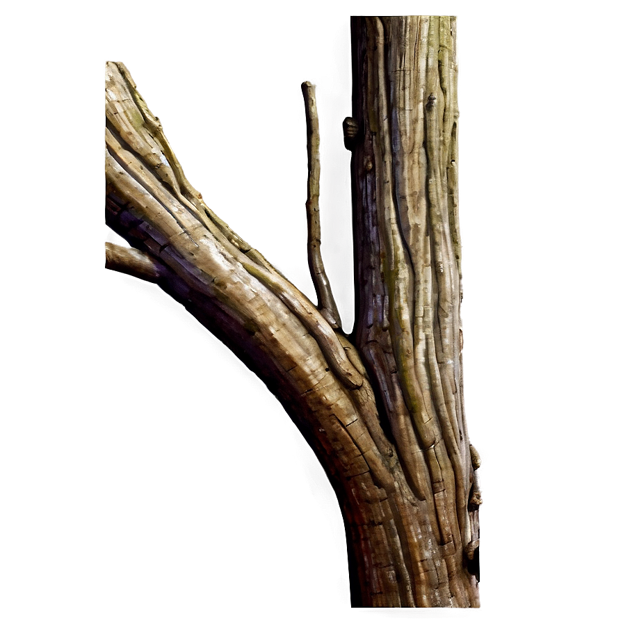 Tree Trunk Detail Png 2 PNG image