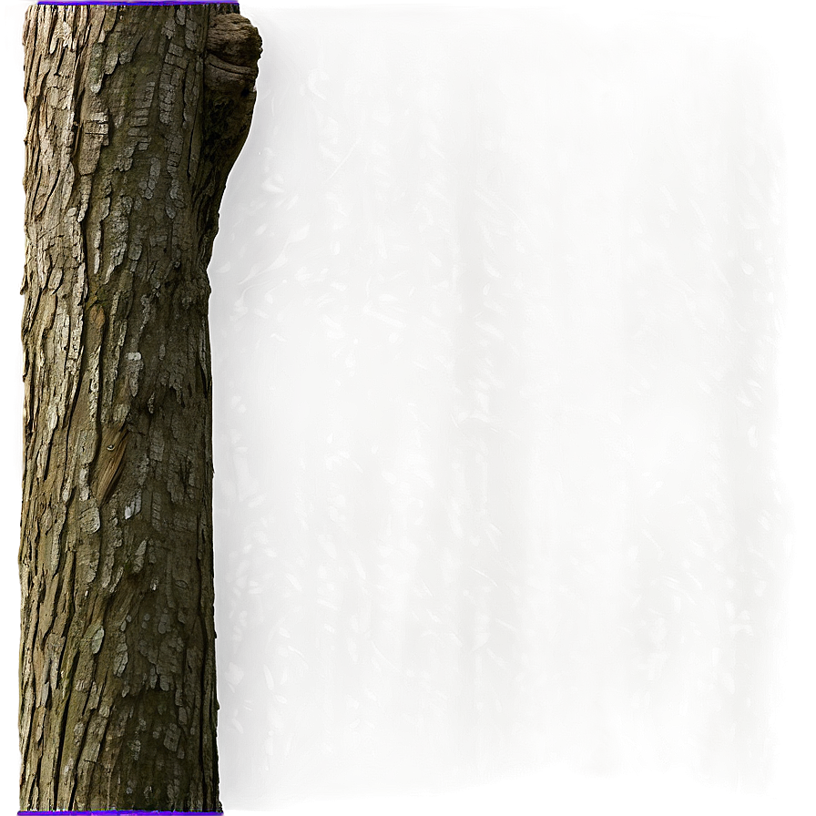 Tree Trunk With Branches Png 26 PNG image