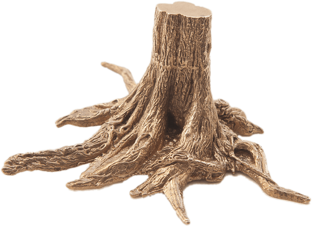 Tree Trunkwith Exposed Roots.png PNG image