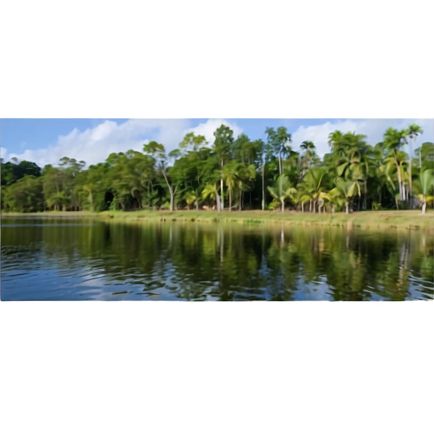 Treeline Along Riverbank Png Deg PNG image