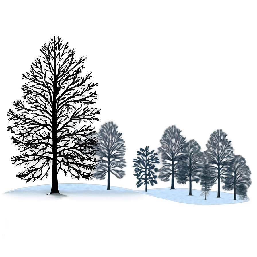 Treeline In Winter Mist Png 66 PNG image