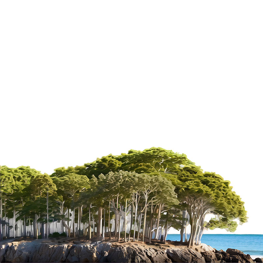 Treeline On Coastal Cliff Png 06282024 PNG image