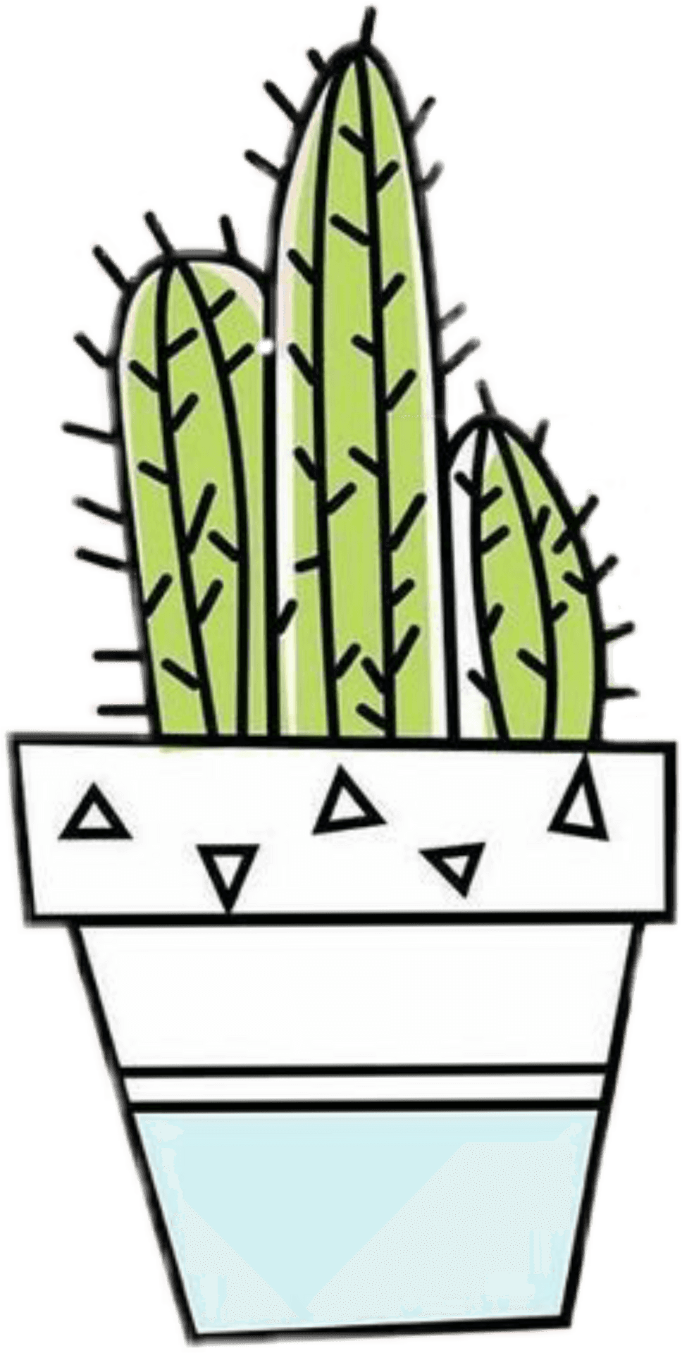 Trendy Cactus Illustration PNG image