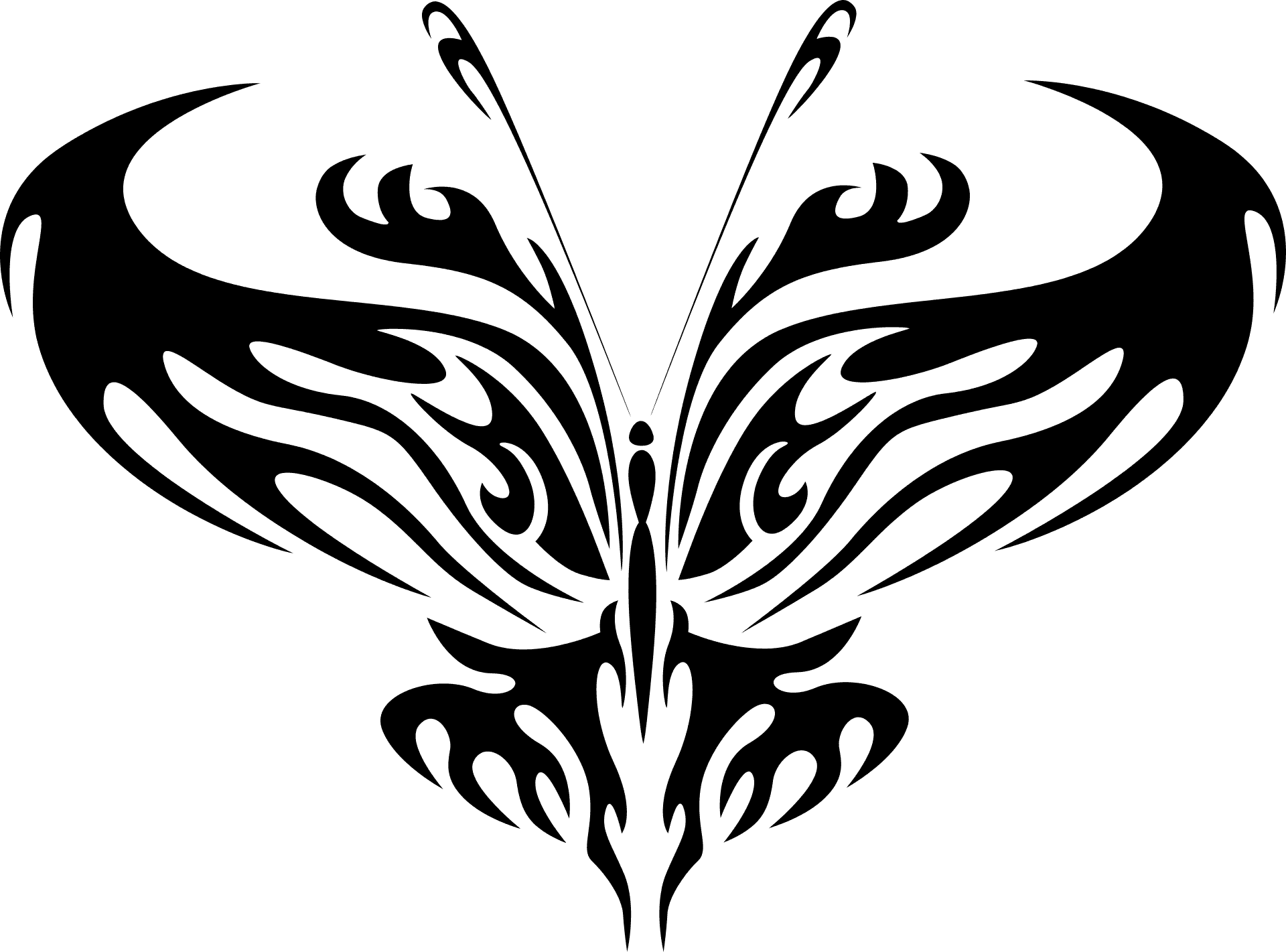 Tribal Butterfly Outline PNG image