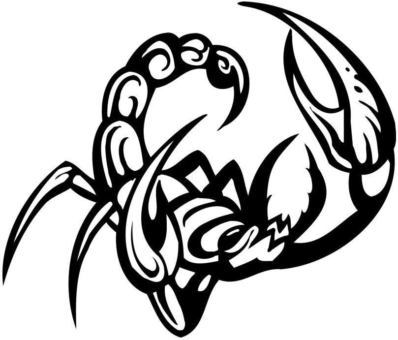 Tribal Scorpion Artwork PNG image
