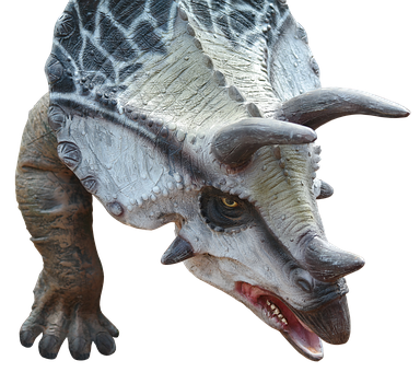 Triceratops_ Model_ Closeup PNG image