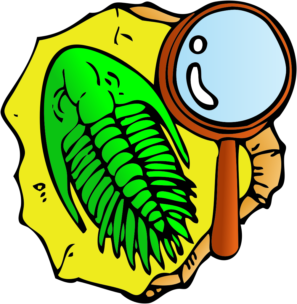 Trilobite Fossil Examination Cartoon PNG image