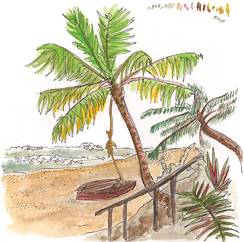 Tropical_ Beach_ Sketch_ Mozambique PNG image