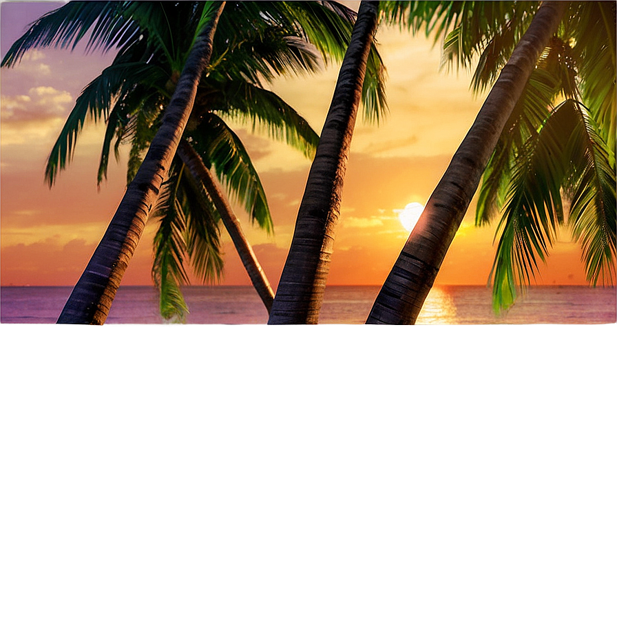 Tropical Beach Sunset Png Tnf25 PNG image