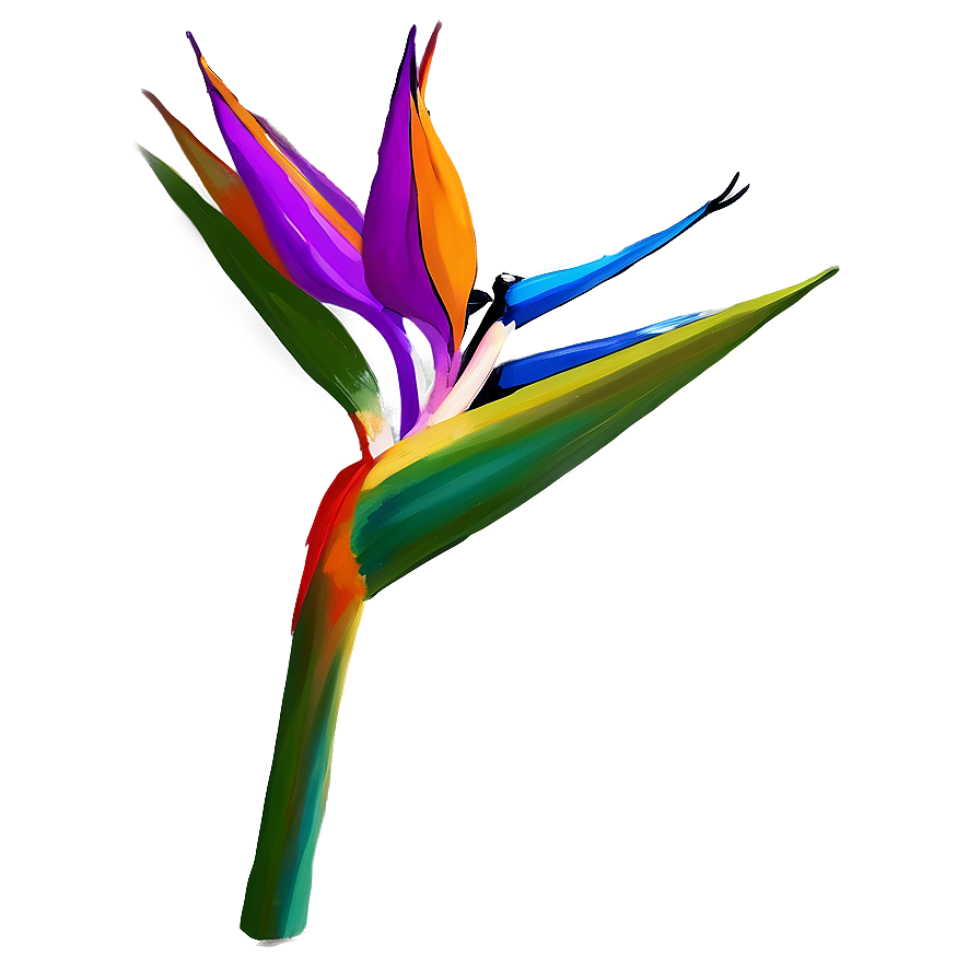 Tropical Bird Of Paradise Design Png Lrt81 PNG image