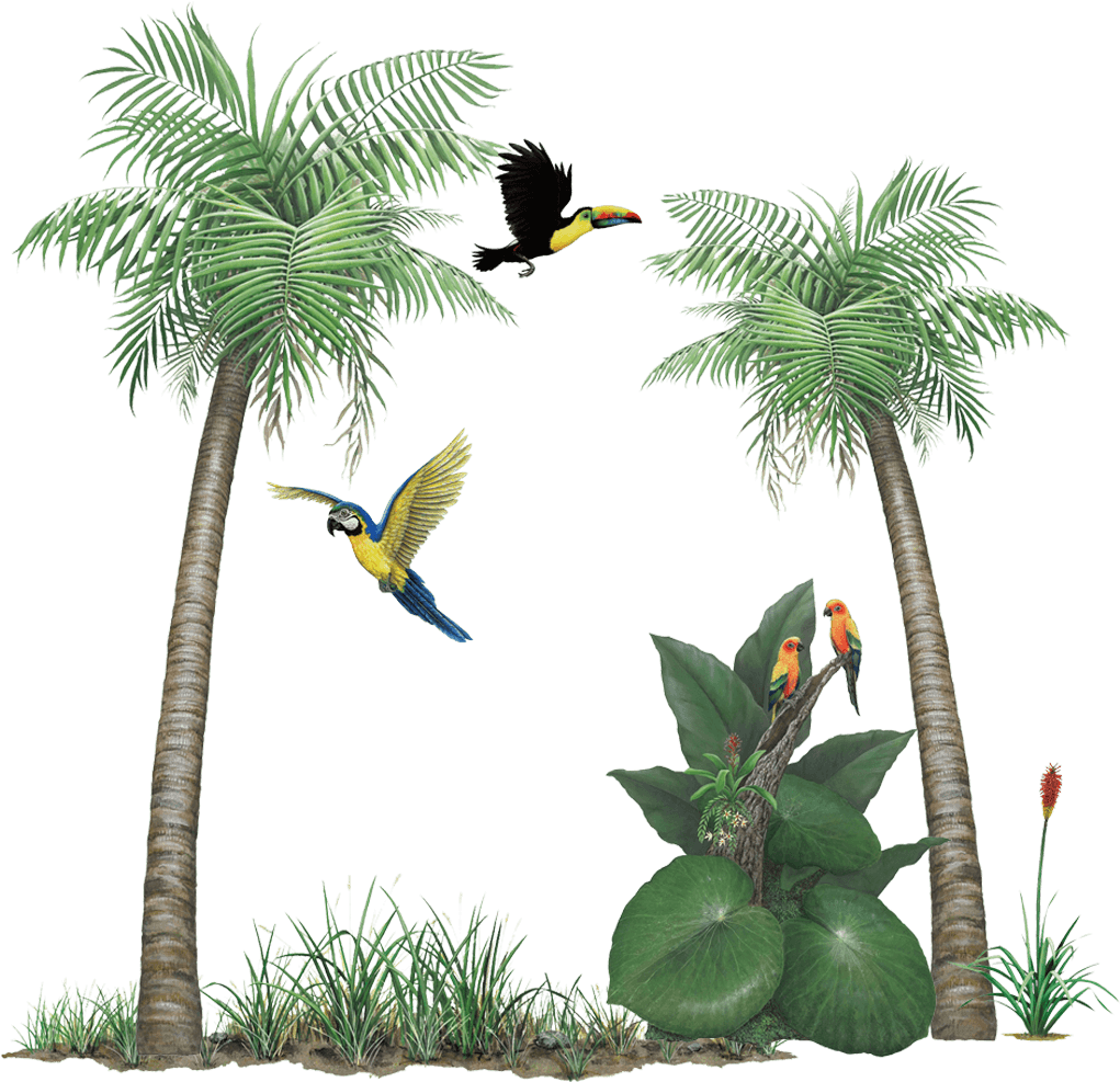 Tropical_ Birds_ Amidst_ Palm_ Trees PNG image