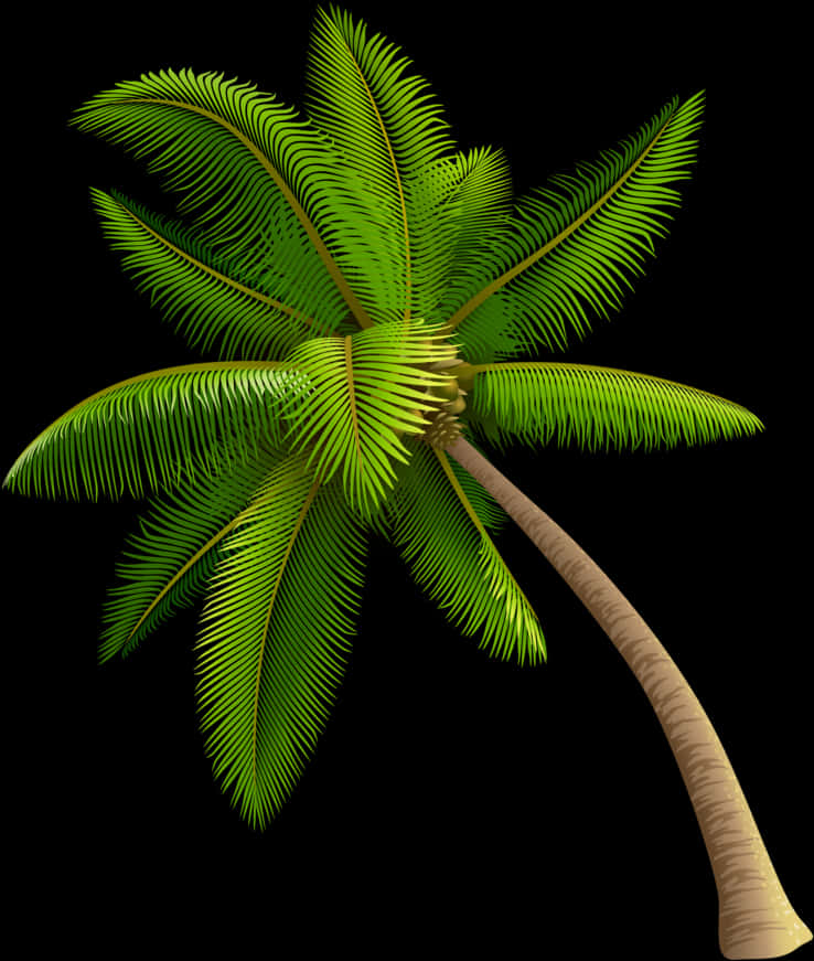 Tropical Coconut Tree Illustration PNG image