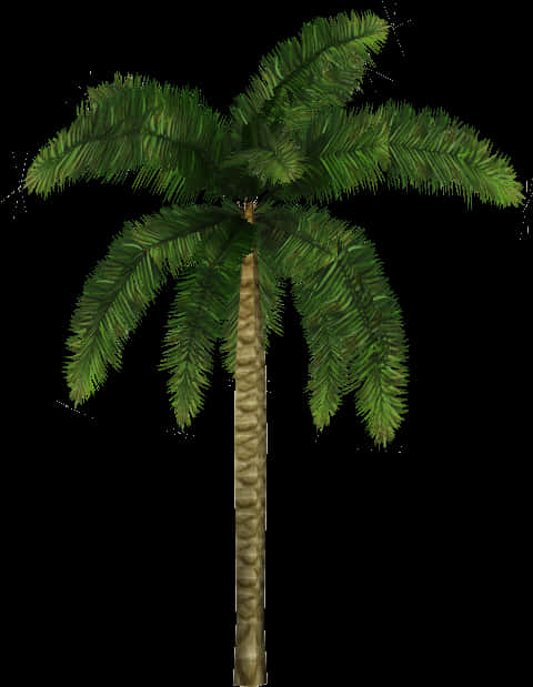 Tropical Coconut Tree Illustration PNG image