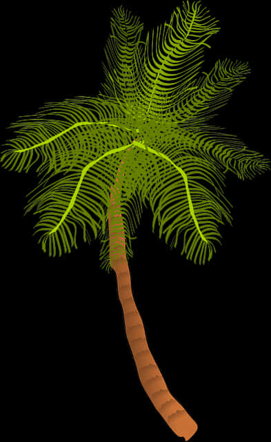 Tropical Coconut Tree Illustration PNG image