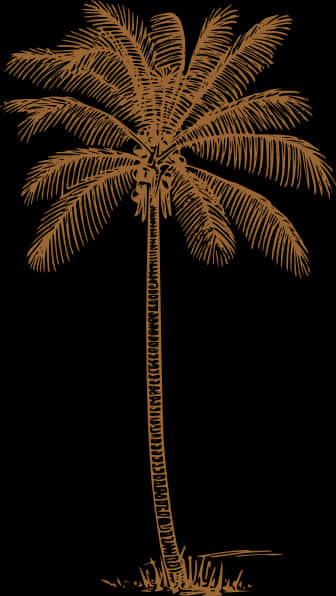 Tropical_ Coconut_ Tree_ Illustration PNG image