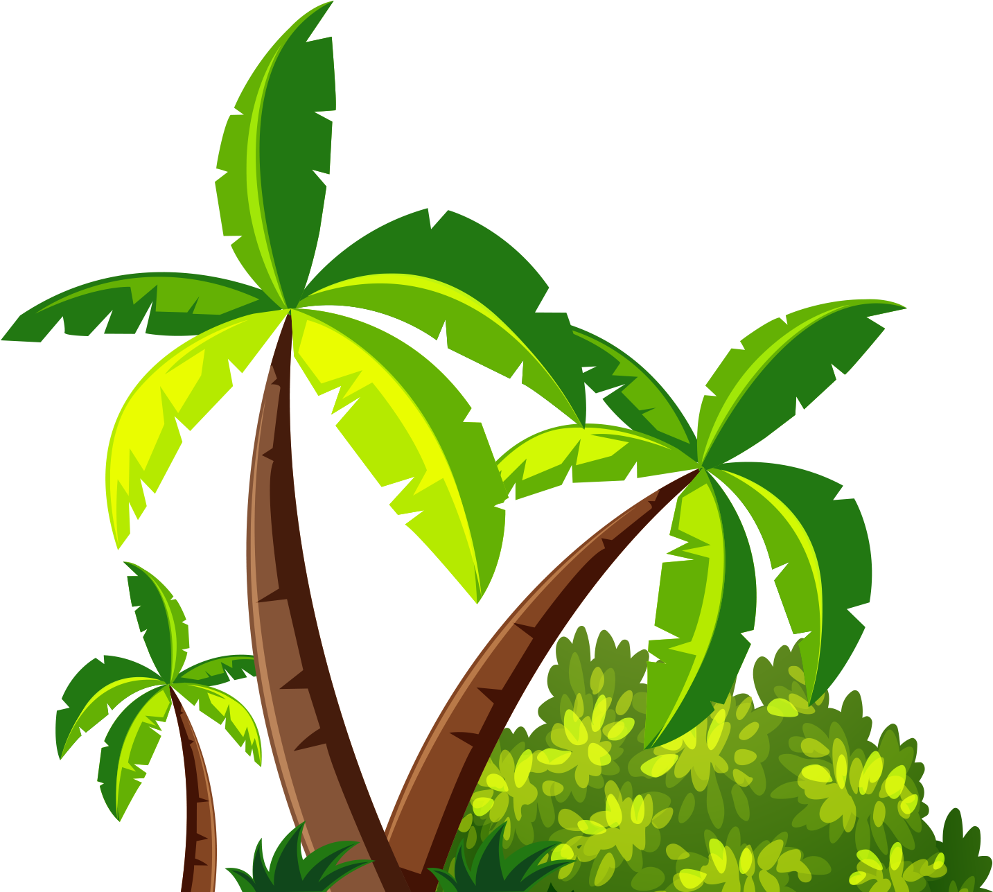 Coconut Tree Png Images (100++)