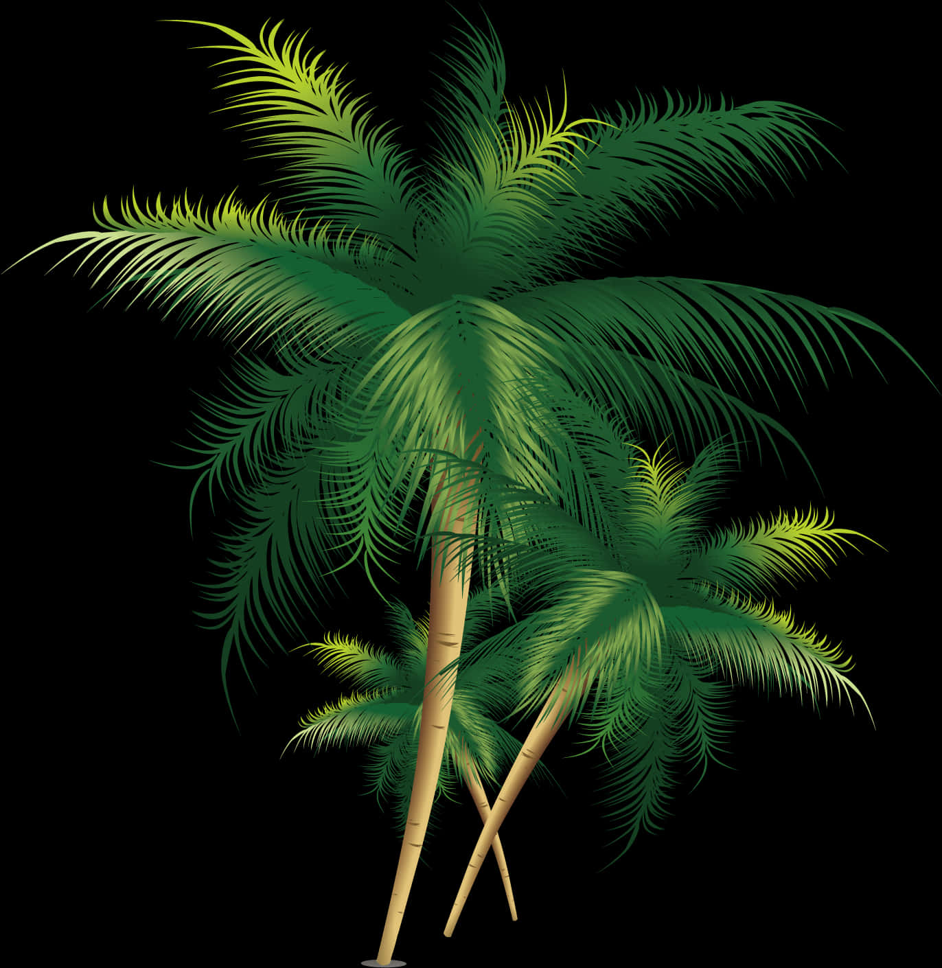 Tropical_ Coconut_ Trees_ Vector PNG image