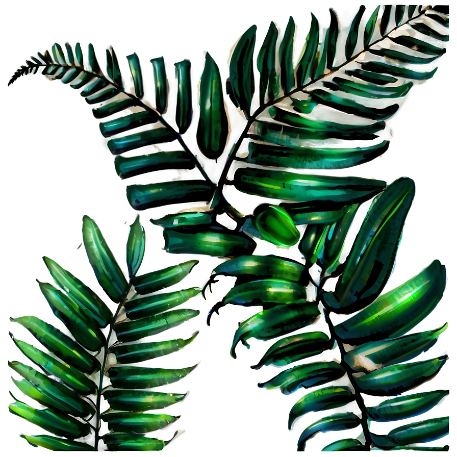 Tropical Ferns Png 51 PNG image