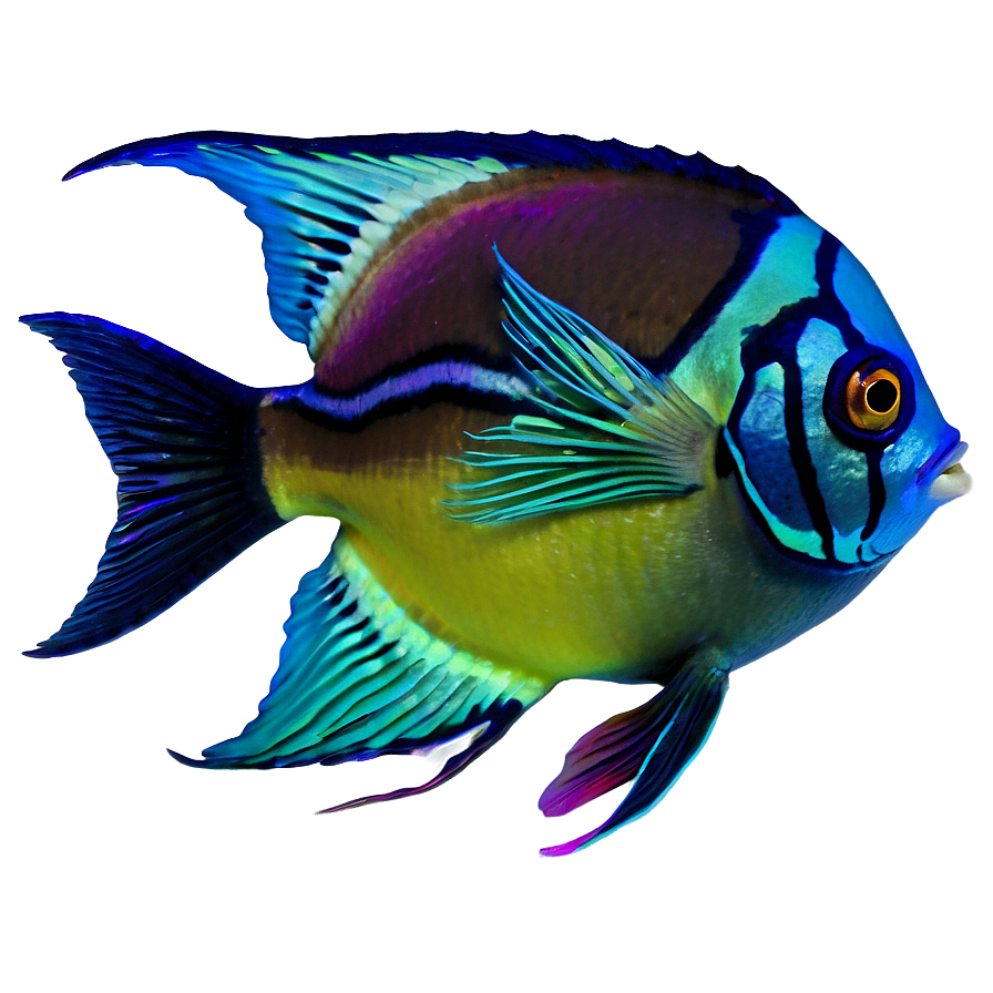 Tropical Fish Transparent Png Phr PNG image