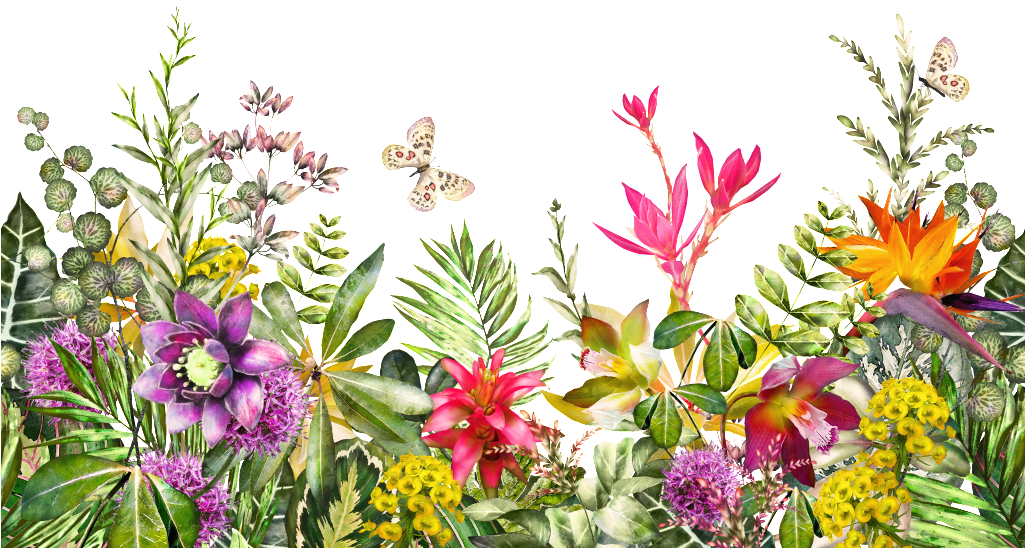 Tropical_ Floral_ Arrangement_with_ Butterflies PNG image