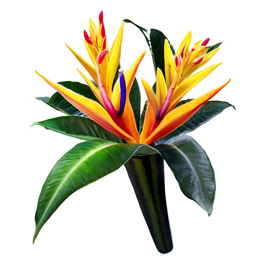 Tropical Flores Paradise Png 05242024 PNG image