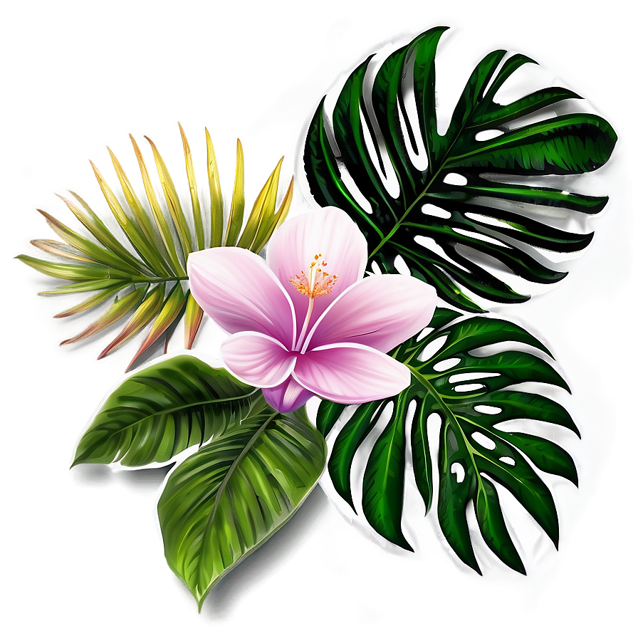 Tropical Flower Frame Png 43 PNG image