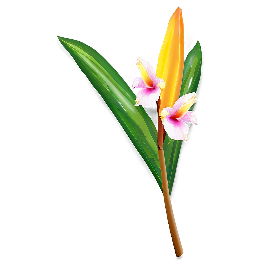 Tropical Flower Stem Png 16 PNG image