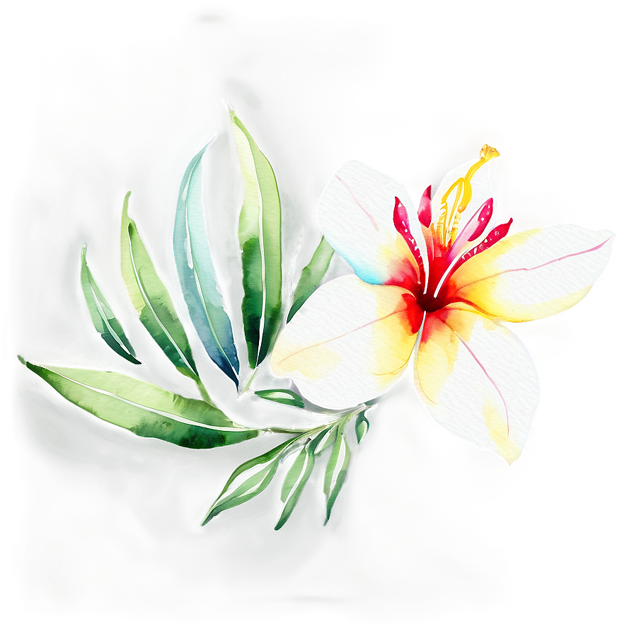 Tropical Flower Watercolor Png Yls PNG image