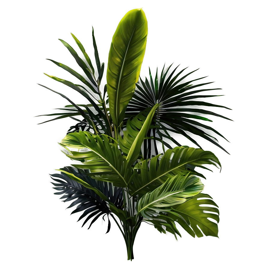 Tropical Foliage Png 06252024 PNG image