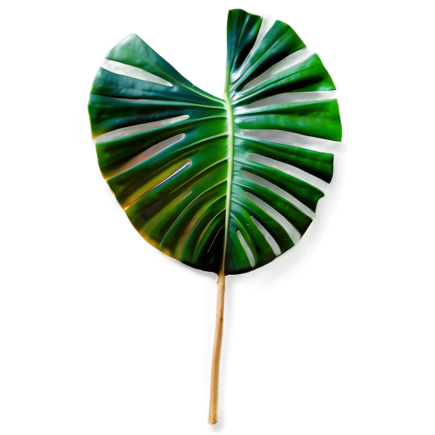 Tropical Leaf Collection Png Tad PNG image