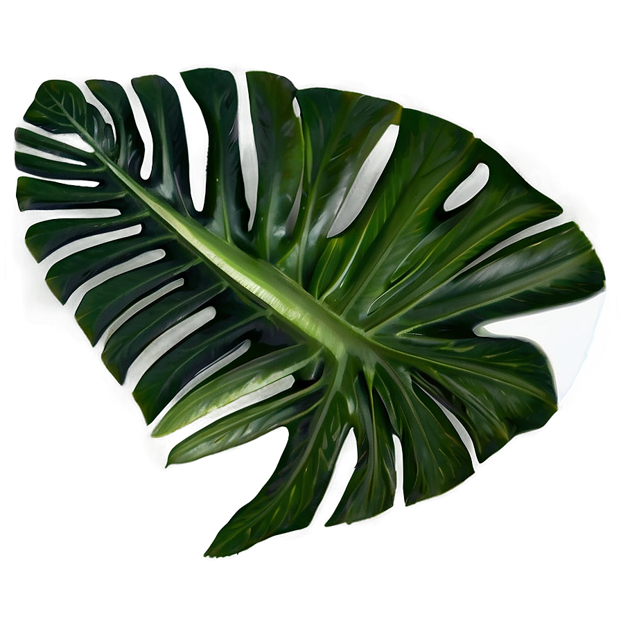 Tropical Leaf Composition Png Dnp79 PNG image