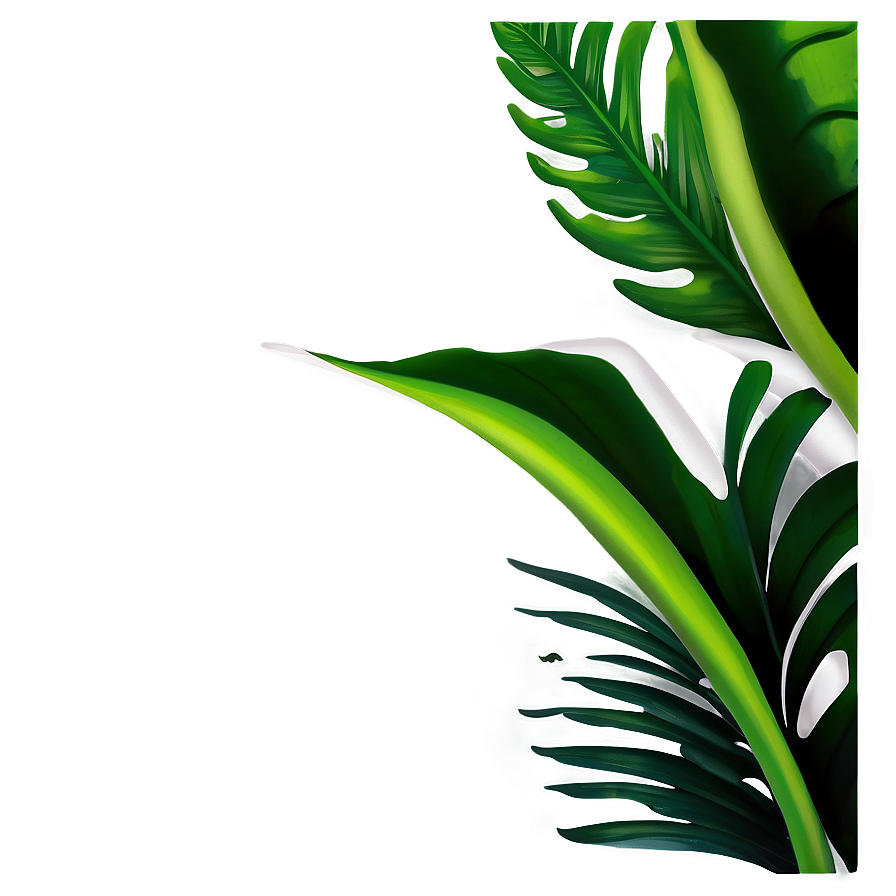 Tropical Leaf Corner Png 06122024 PNG image