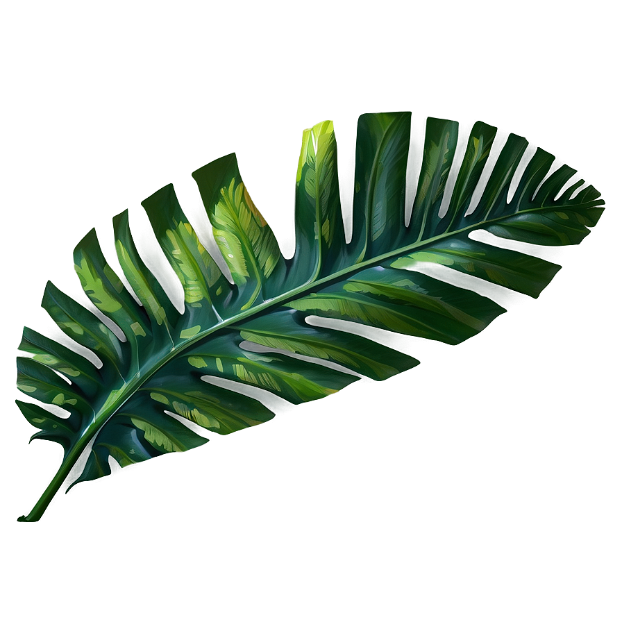 Tropical Leaf Png 05032024 PNG image