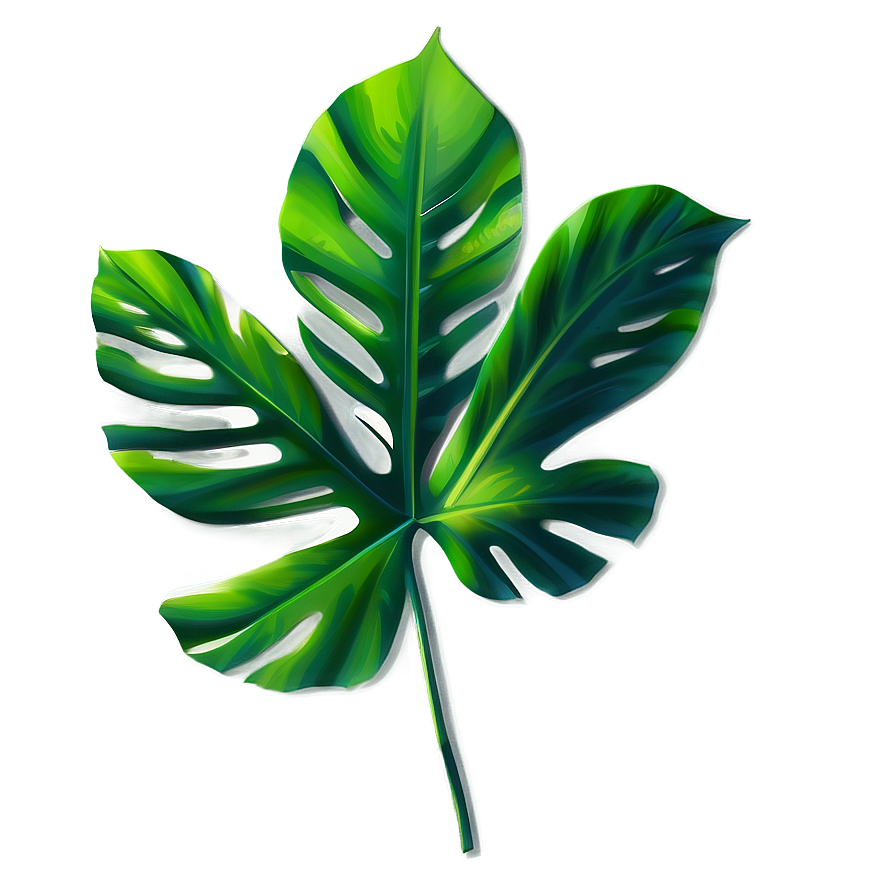 Tropical Leaf Shadow Png Adp PNG image