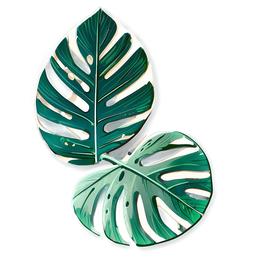 Tropical Leaf Sketch Png Oln PNG image