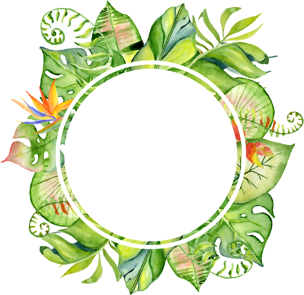 Tropical Leaves Certificate Border PNG image