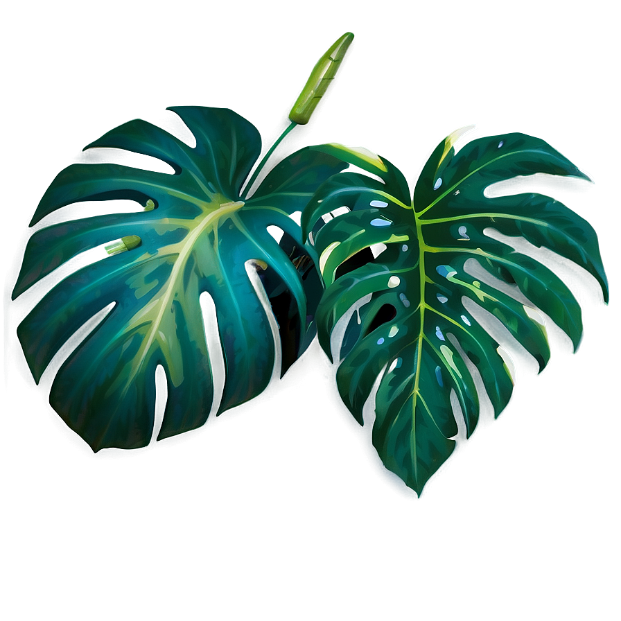 Tropical Leaves Png 05042024 PNG image