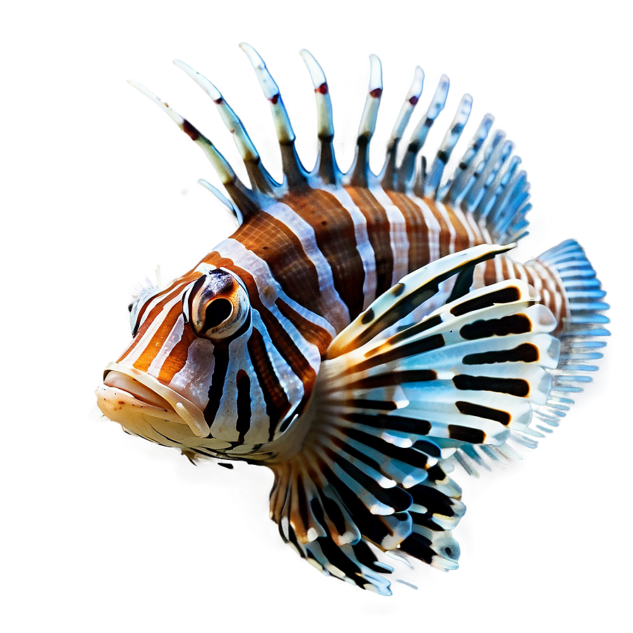 Tropical Lionfish Png 06292024 PNG image