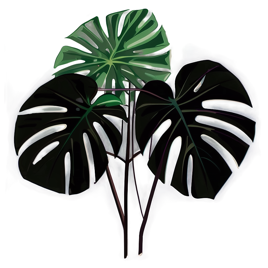 Tropical Monstera Silhouette Png 25 PNG image