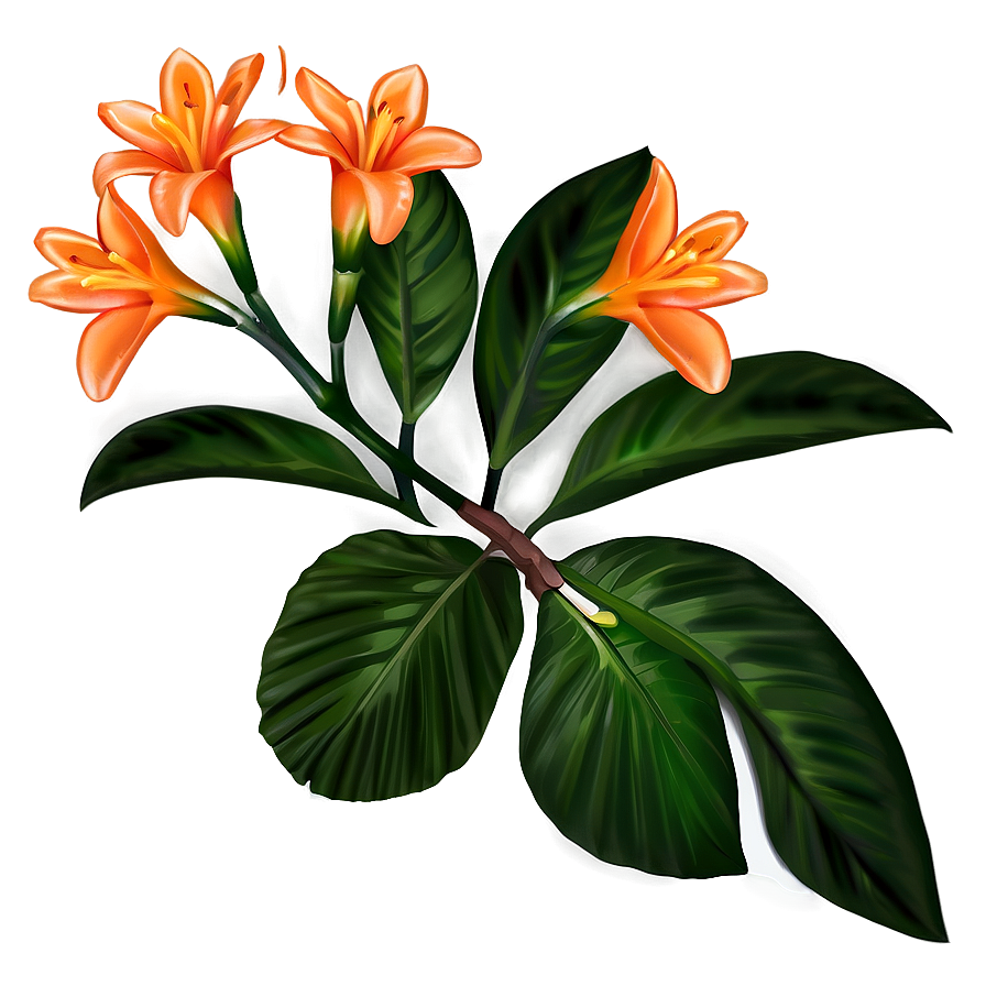 Tropical Orange Flower Png Fma PNG image