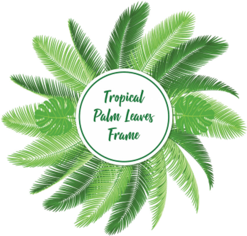 Tropical Palm Leaves Frame Graphic PNG image