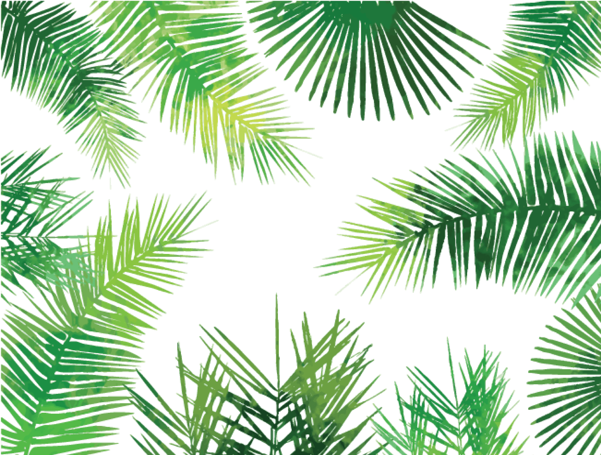 Tropical Palm Leaves Pattern PNG image