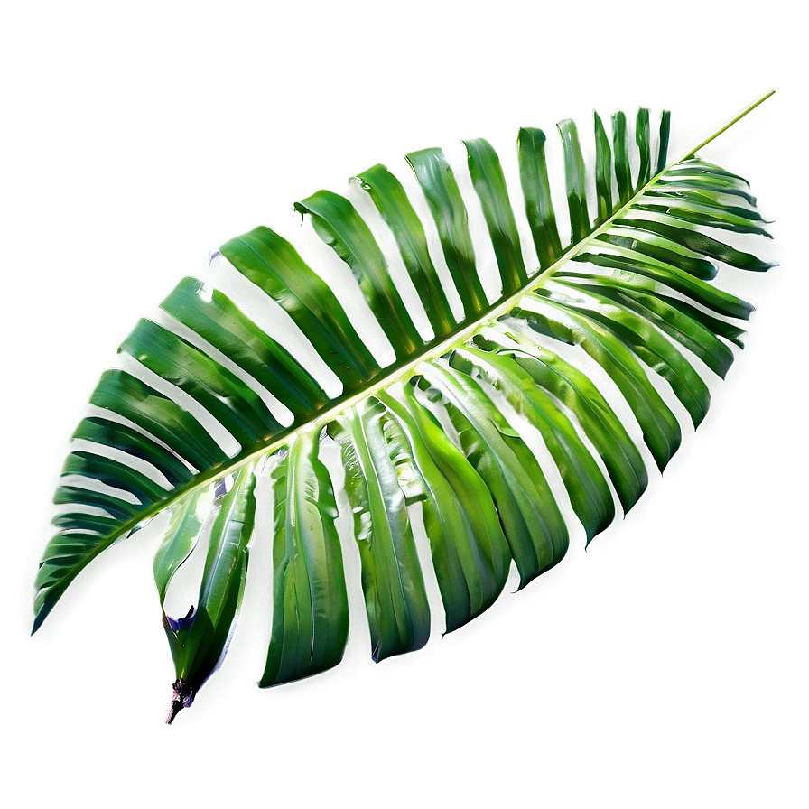 Tropical Palm Leaves Png 93 PNG image